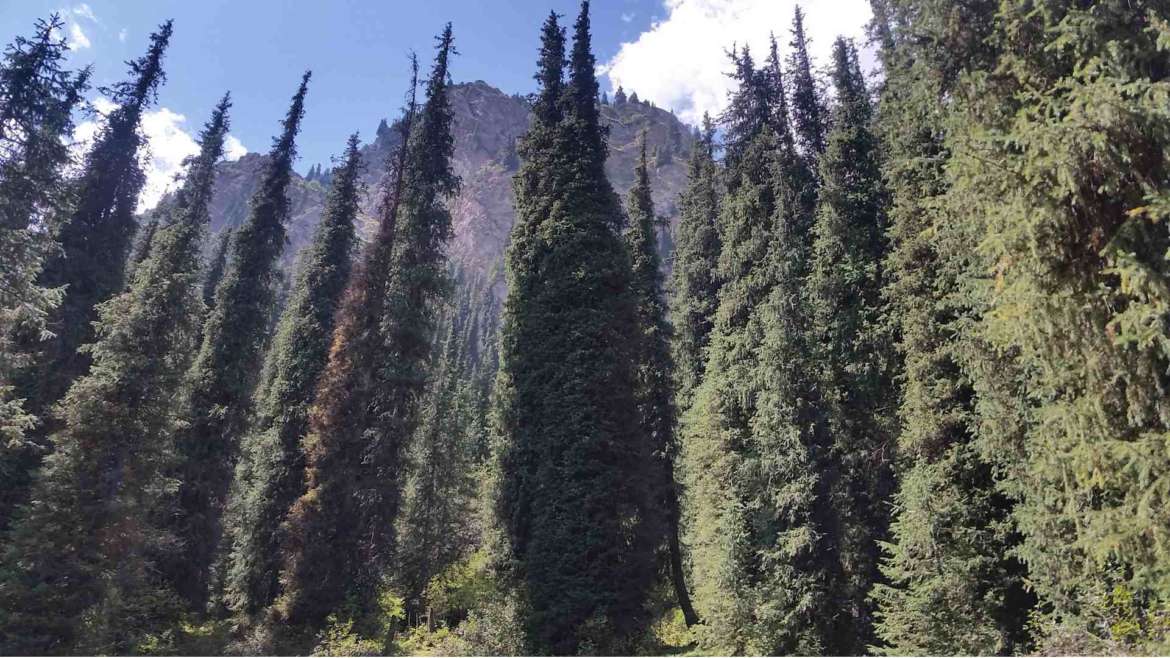 Our first trip to Kyrgyzstan- a 11 days Kyrgyzstan itinerary