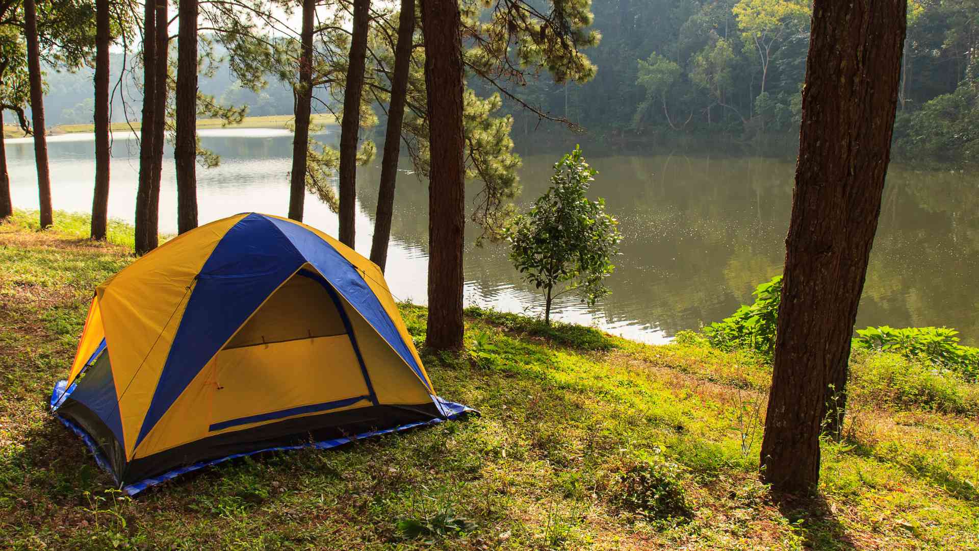 A tent in the outdoor