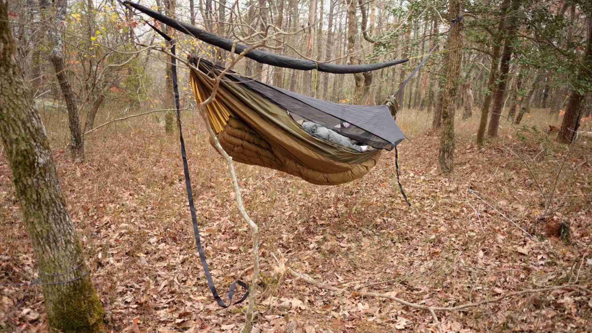 Hammock in the forest