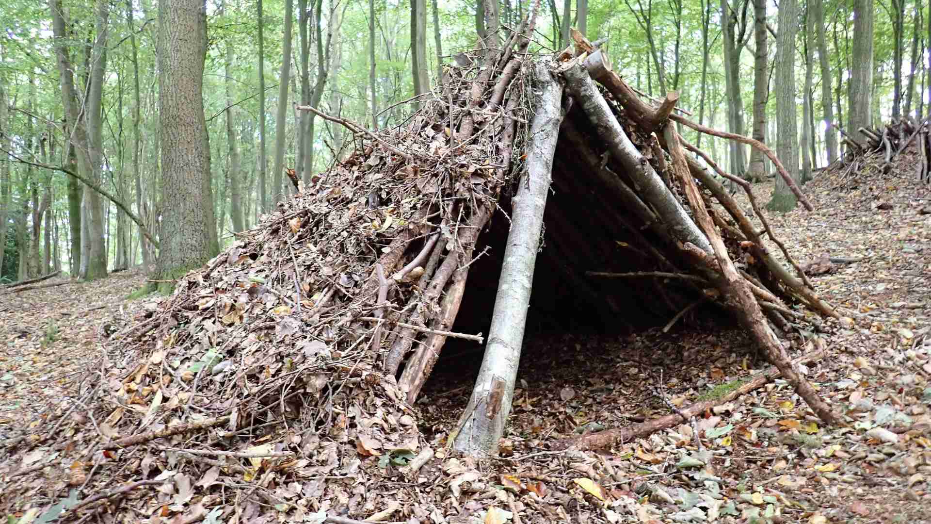 A shelter made of wood