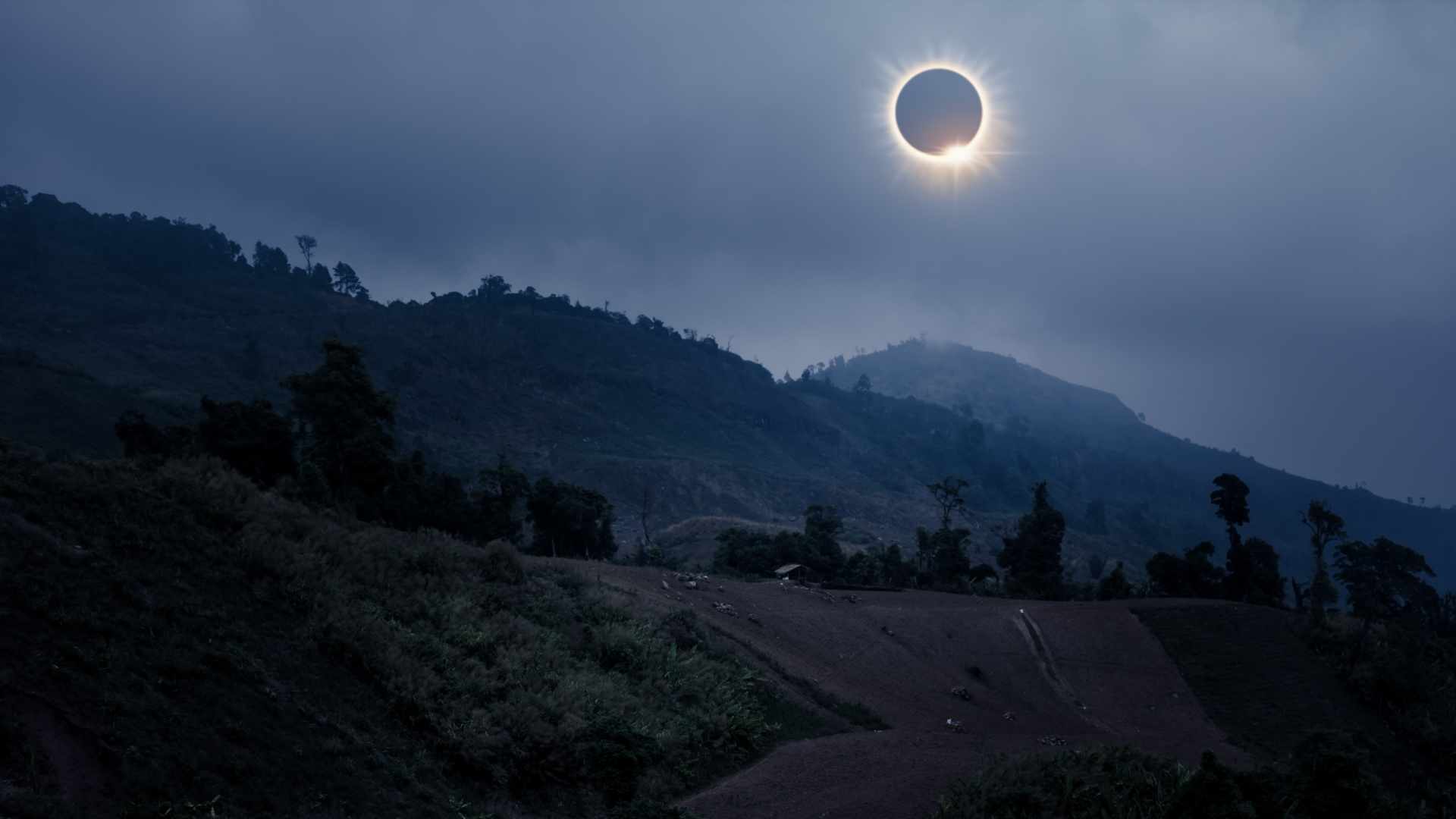Solar Eclipse