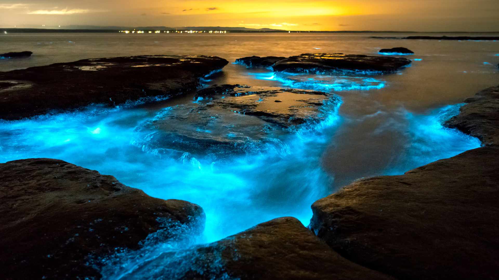Bioluminescent Bays