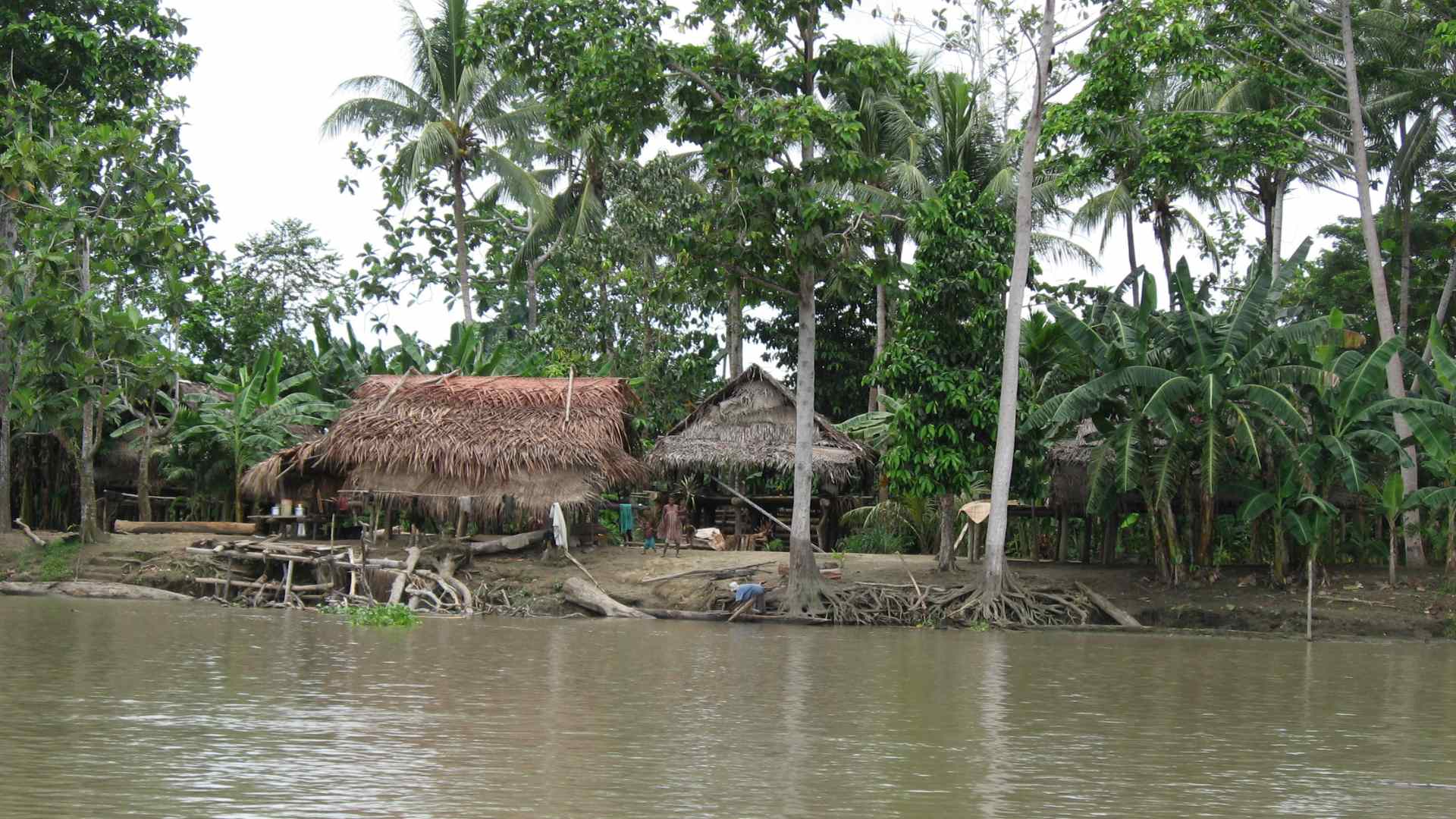 The Sepik River, where roads give way to waterways and local boats become the only practical means of continuing east.Photo by David Bacon, via Wikimedia Commons (CC BY 2.0)