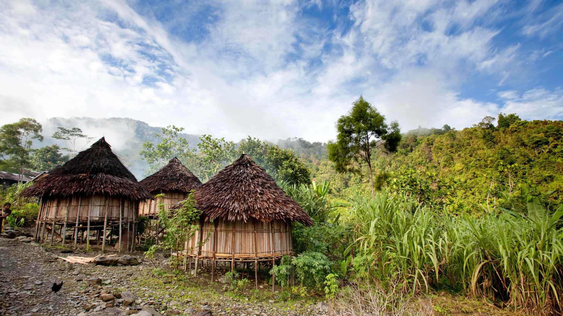 Local houses in Papua New Guinea