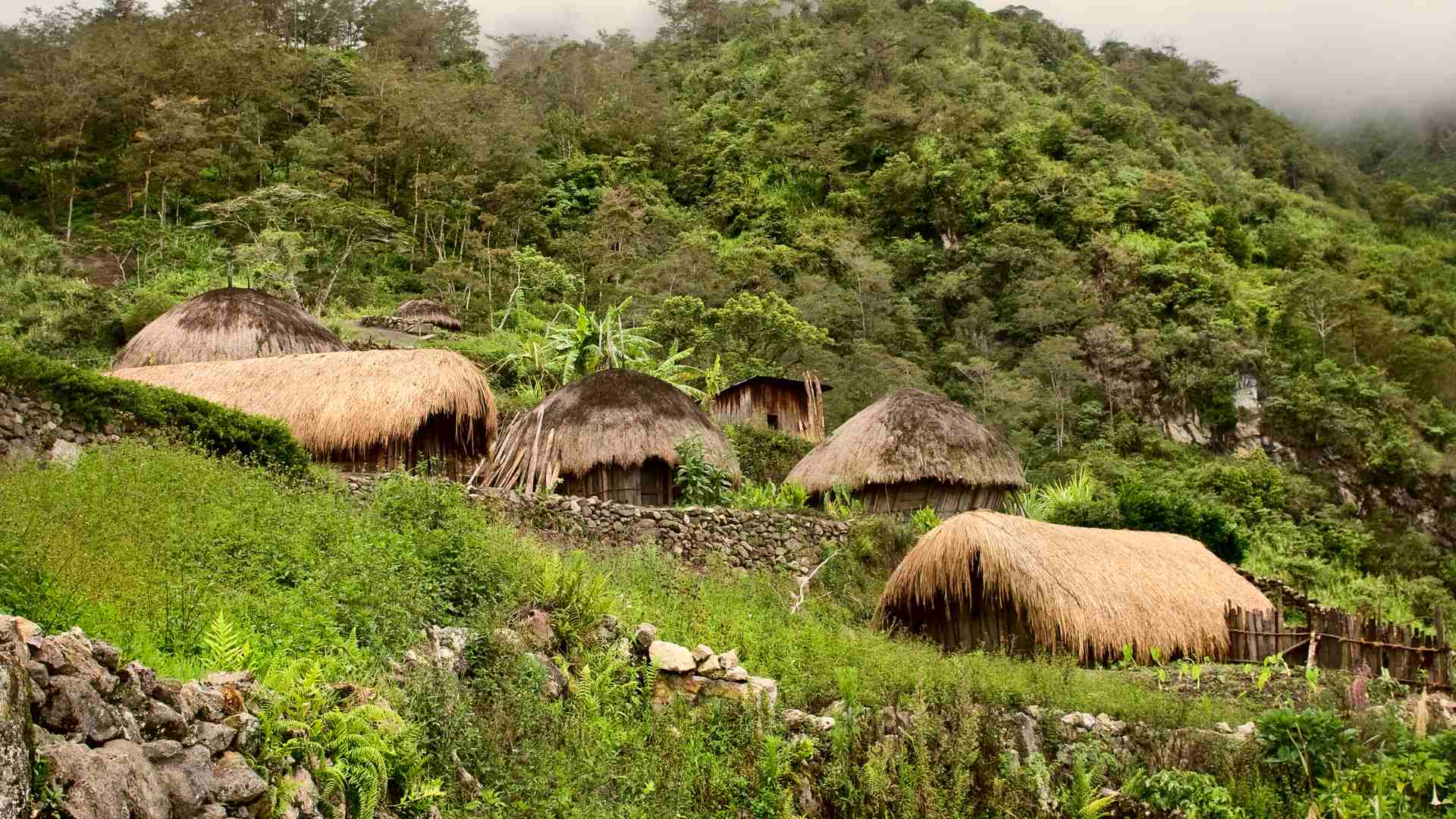 A landscape from New Guinea