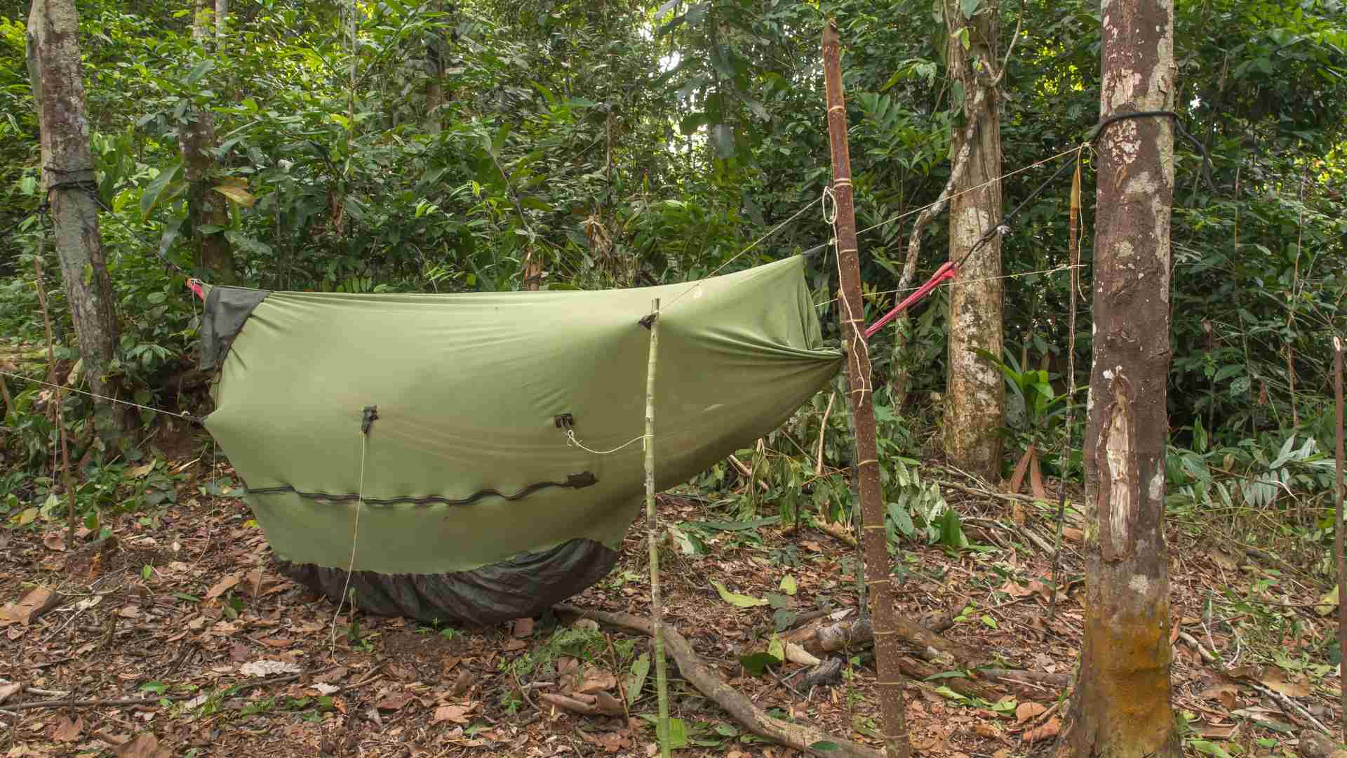 Hammock in the rainforest