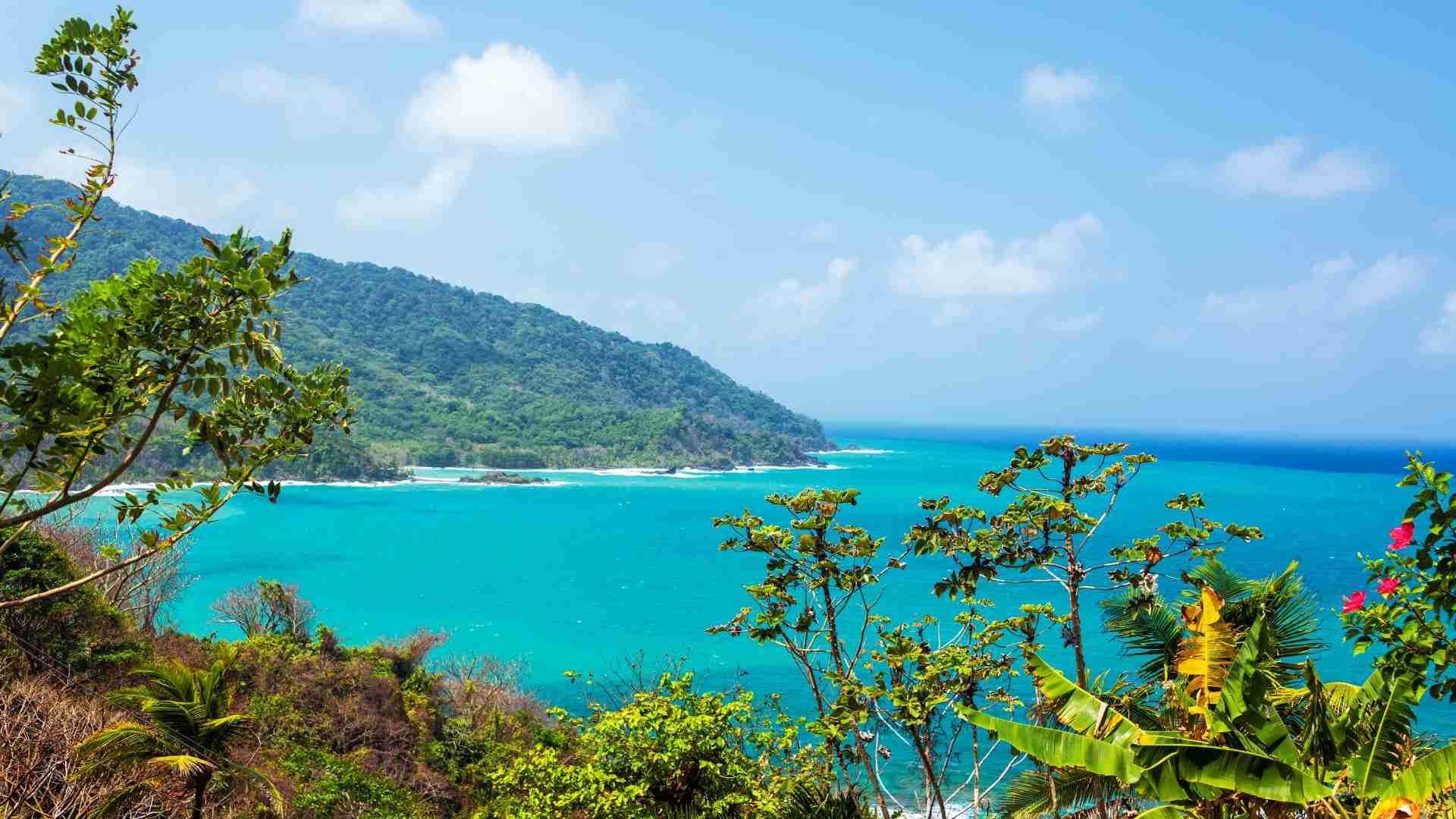 The Caribbean Coast of the Darien Gap in Panama