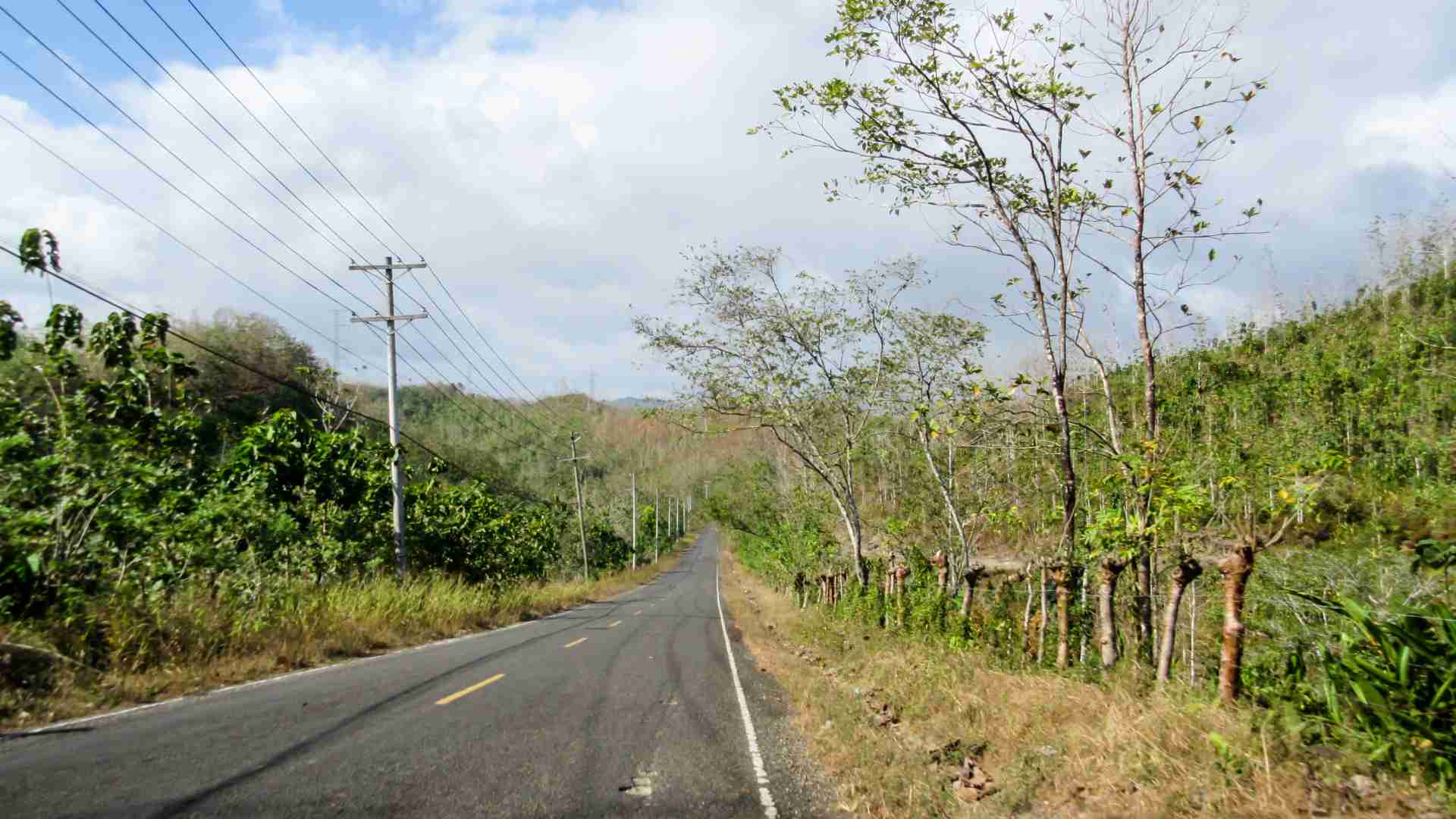 A road in Panama. Road network ends at Yaviza.